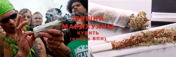 сатива Абаза