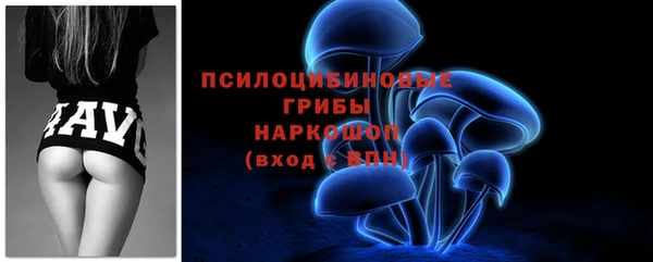 гашик Алексеевка