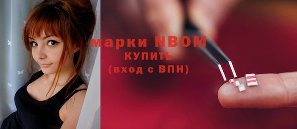 гашик Алексеевка