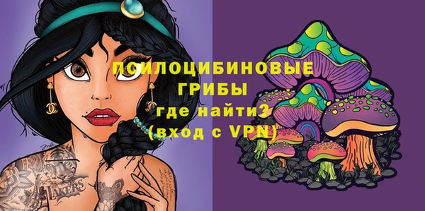 сатива Абаза