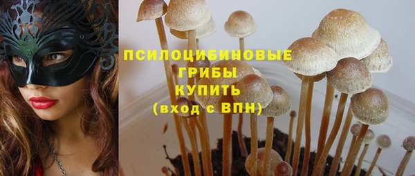 сатива Абаза