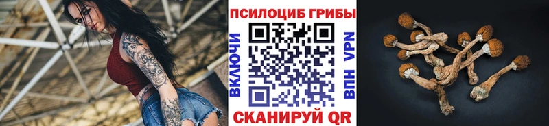 Галлюциногенные грибы ЛСД  блэк спрут ссылки  Дубна 