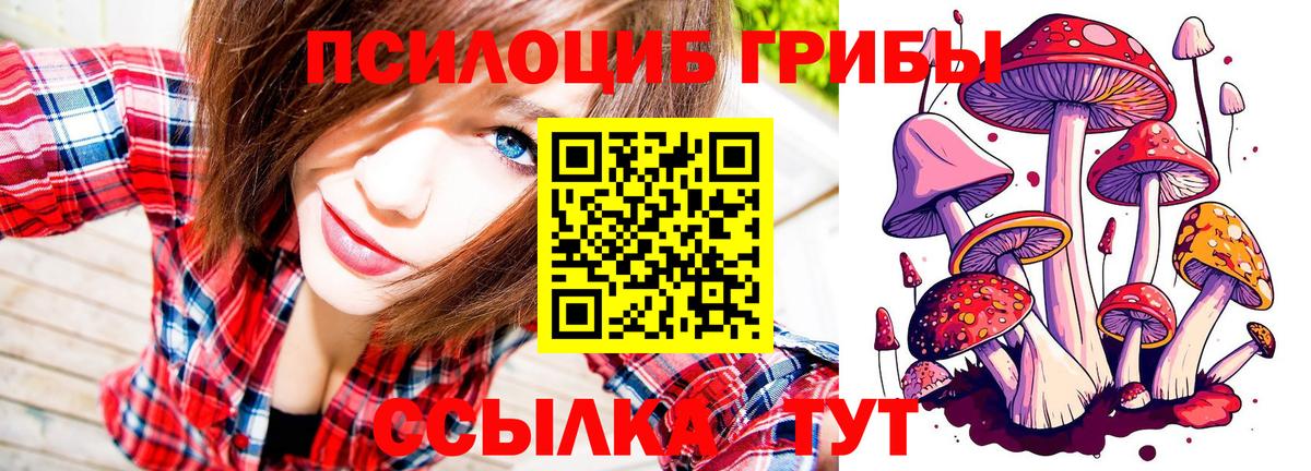 Галлюциногенные грибы Magic Shrooms  Вход с VPN  Дубна 