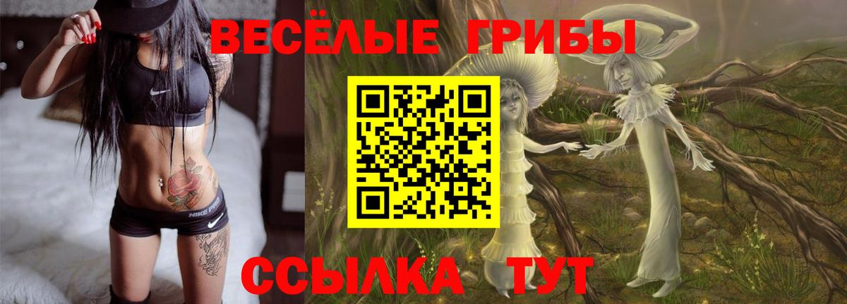 Псилоцибиновые грибы мицелий Дубна